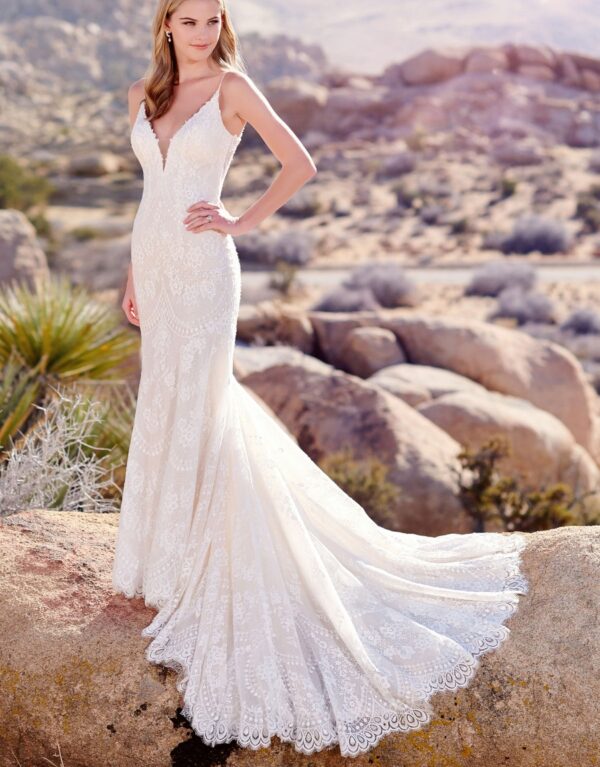 220106 ivory light champagne f d