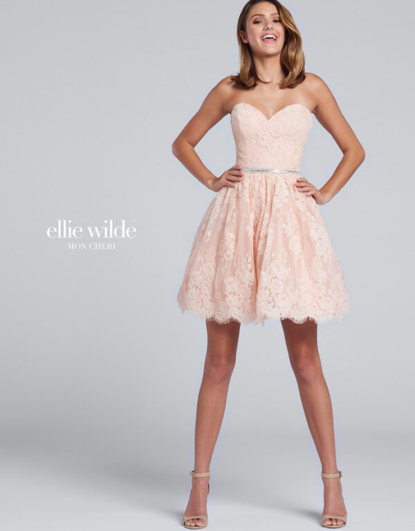 EW117119 Ellie WIlde Prom Dresses 2017