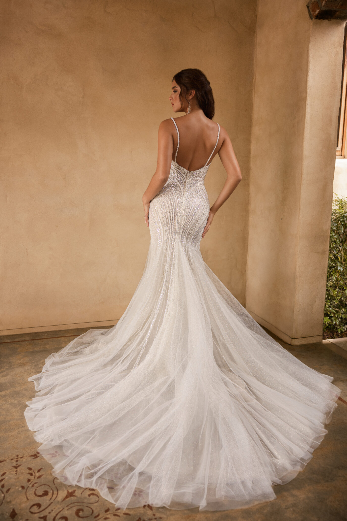 ST641 F24 Campaign Back